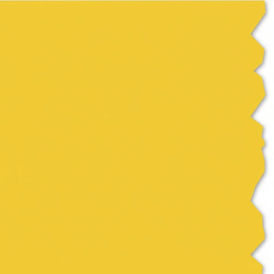 HellermannTyton 558-00358 Adhesive Labels, Solid Color Continuous Roll, 4.0" x 250', VL, Yellow, 250ft/roll