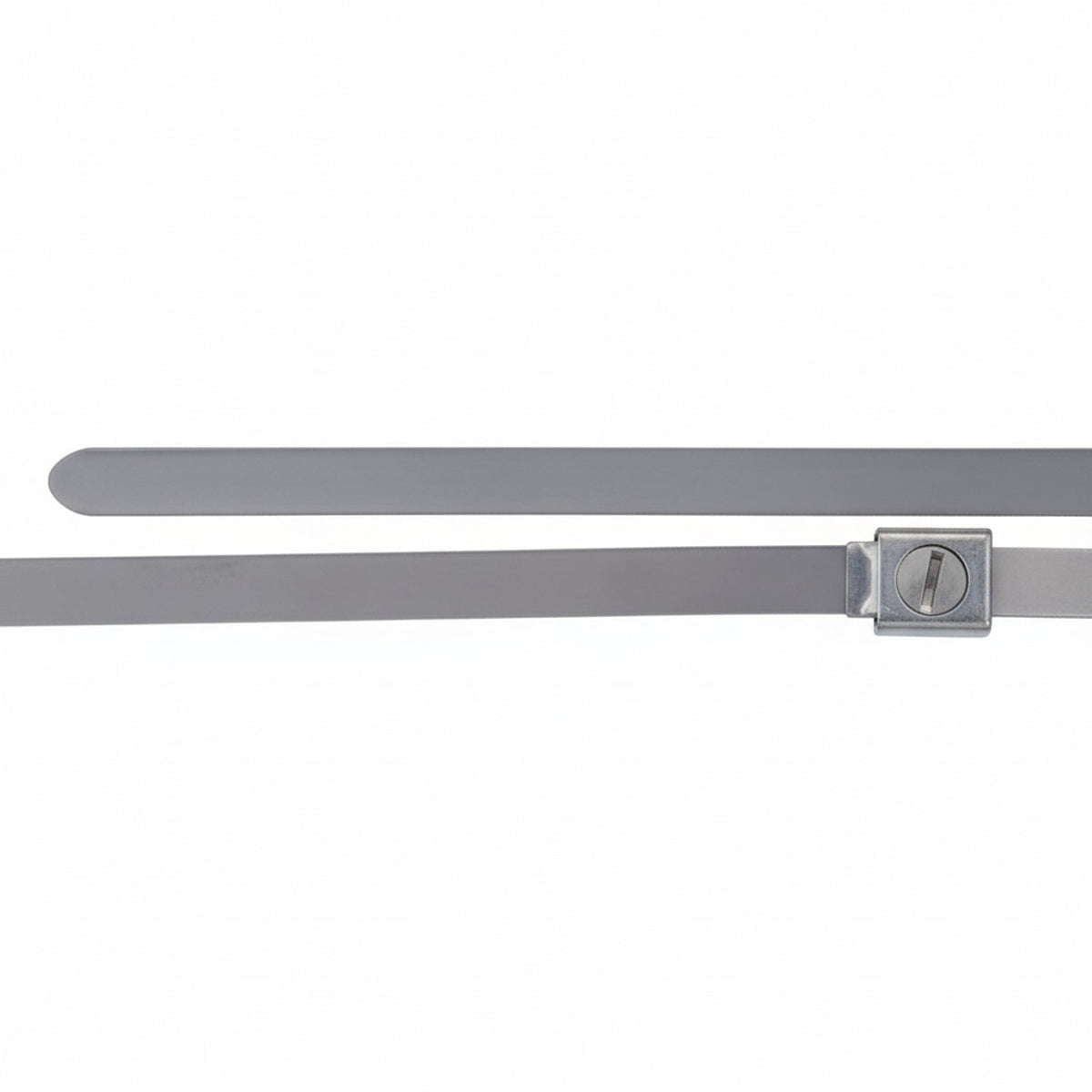 Thomas & Betts SS10-250 23" Standard Dual Lock Stainless Steel Cable Ties 100/Bag