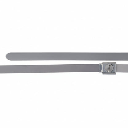 Thomas & Betts SS10-250 23" Standard Dual Lock Stainless Steel Cable Ties 100/Bag