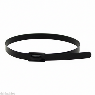 10" 150lb - Black Polyester Coated 316 Stainless Steel Cable Ties Part #SSPCoated10-LD 100/bag