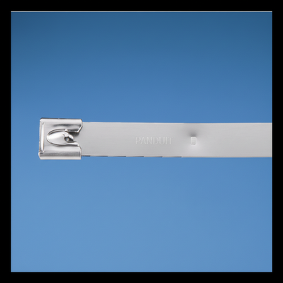 Pan-Steel® MLT2EH-LP316 Stainless Steel Cable Ties