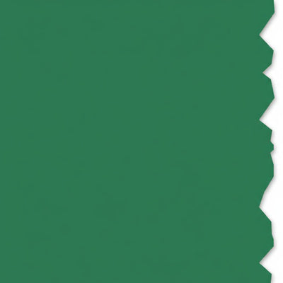 HellermannTyton 558-00351 Adhesive Labels, Solid Color Continuous Roll, 4.0" x 250', VL, Green, 250 ft/roll