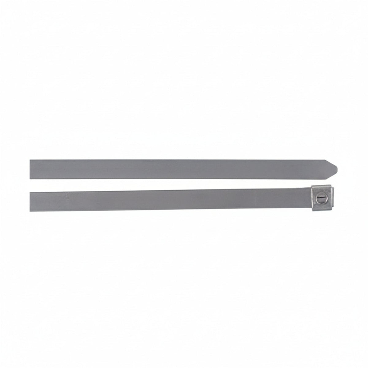 Thomas & Betts SS16-180 10" Mini Dual Lock Stainless Steel Cable Ties 100/Bag