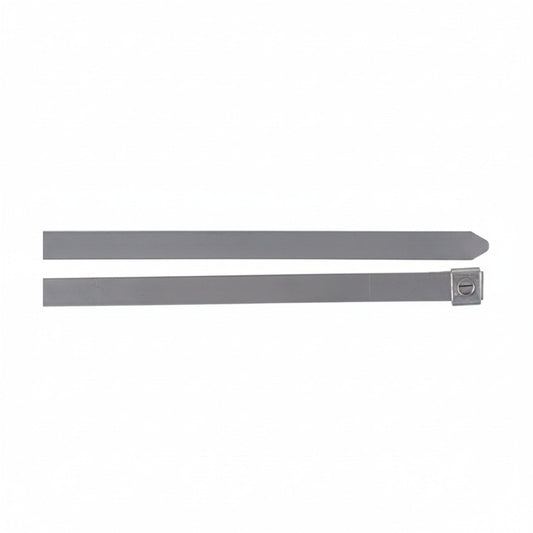 Thomas & Betts SS16-180 10" Mini Dual Lock Stainless Steel Cable Ties 100/Bag