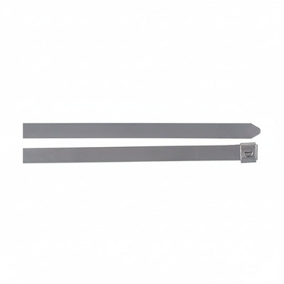 Thomas & Betts SS16-180 10" Mini Dual Lock Stainless Steel Cable Ties 100/Bag